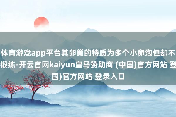 体育游戏app平台其卵巢的特质为多个小卵泡但却不可发育锻练-开云官网kaiyun皇马赞助商 (中国)官方网站 登录入口