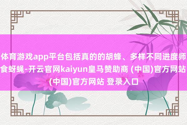 体育游戏app平台包括真的的胡蜂、多样不同进度师法胡蜂的食蚜蝇-开云官网kaiyun皇马赞助商 (中国)官方网站 登录入口