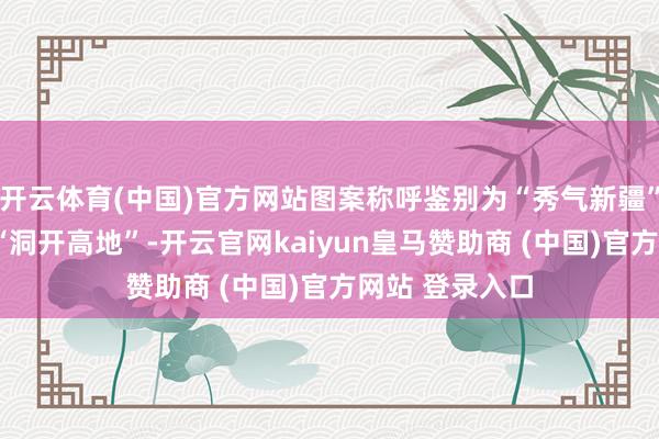 开云体育(中国)官方网站图案称呼鉴别为“秀气新疆”“协调讲理”“洞开高地”-开云官网kaiyun皇马赞助商 (中国)官方网站 登录入口