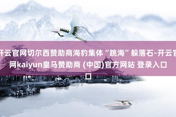 开云官网切尔西赞助商海豹集体“跳海”躲落石-开云官网kaiyun皇马赞助商 (中国)官方网站 登录入口