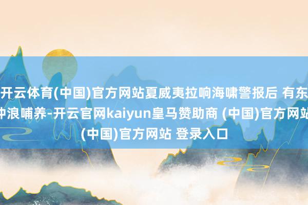 开云体育(中国)官方网站夏威夷拉响海啸警报后 有东谈主仍在冲浪哺养-开云官网kaiyun皇马赞助商 (中国)官方网站 登录入口