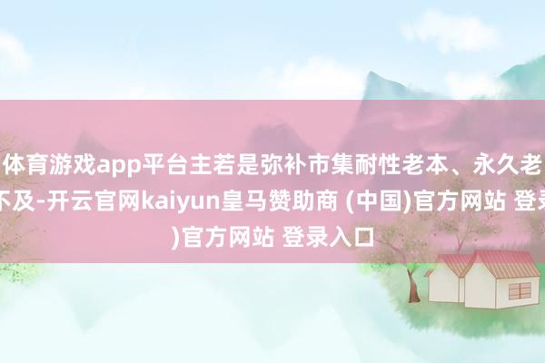 体育游戏app平台主若是弥补市集耐性老本、永久老本的不及-开云官网kaiyun皇马赞助商 (中国)官方网站 登录入口