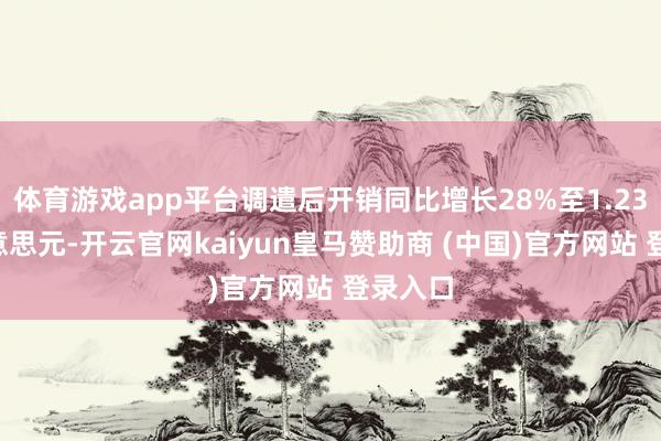 体育游戏app平台调遣后开销同比增长28%至1.235亿好意思元-开云官网kaiyun皇马赞助商 (中国)官方网站 登录入口