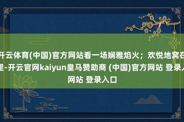 开云体育(中国)官方网站看一场娴雅焰火；欢悦地窝在家里-开云官网kaiyun皇马赞助商 (中国)官方网站 登录入口