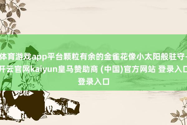 体育游戏app平台颗粒有余的金雀花像小太阳般驻守-开云官网kaiyun皇马赞助商 (中国)官方网站 登录入口